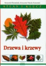 Drzewa i krzewy Atlas i klucz Rostański Krzysztof, Rostański Krzysztof Marek