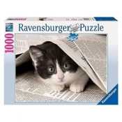 RAVEN. 1000 EL. Ciekawski Kotek