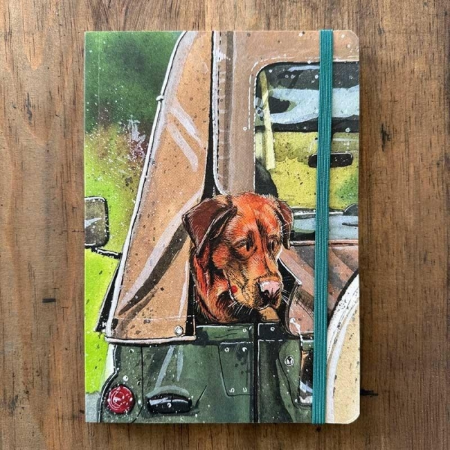 <img src='https://webimage.pl/pics/564/7/d5063187007564.jpg'>