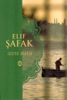 Lustra miasta Safak Elif