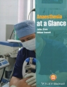 Anaesthesia at a Glance Stone Julian, Fawcett William