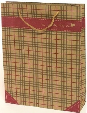 Torebka prezentowa L ekologiczna 0225-07