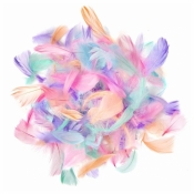 Piórka macaron 4-8cm 10g