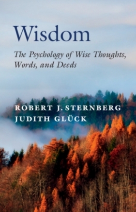 Wisdom: The Psychology of Wise Thoughts, Words, and Deeds - Judith Glück, Robert J. Sternberg