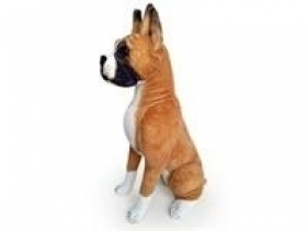 Pies Bokser 65cm