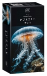 Puzzle 250: Colourful Nature 10 - Jellyfish