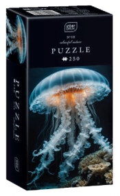 Puzzle 250: Colourful Nature 10 - Jellyfish