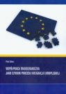 Współpraca transgraniczna jako czynnik procesu integracji europejskiej Solarz Piotr