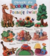 Poznaję świat. Obrazki dla maluchów - Emilie Beaumont, Nathalie Belineau