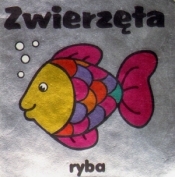 Zwierzęta. Ryba - Opracowanie zbiorowe