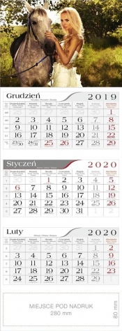 Kalendarz 2020 Trójdzielny Amazonak CRUX