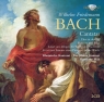W.F. Bach: Cantatas Barbara Schlick, Claudia Schubert, Wilfried Jochens, Stephan Schreckenberger, Rheinische Kantorei