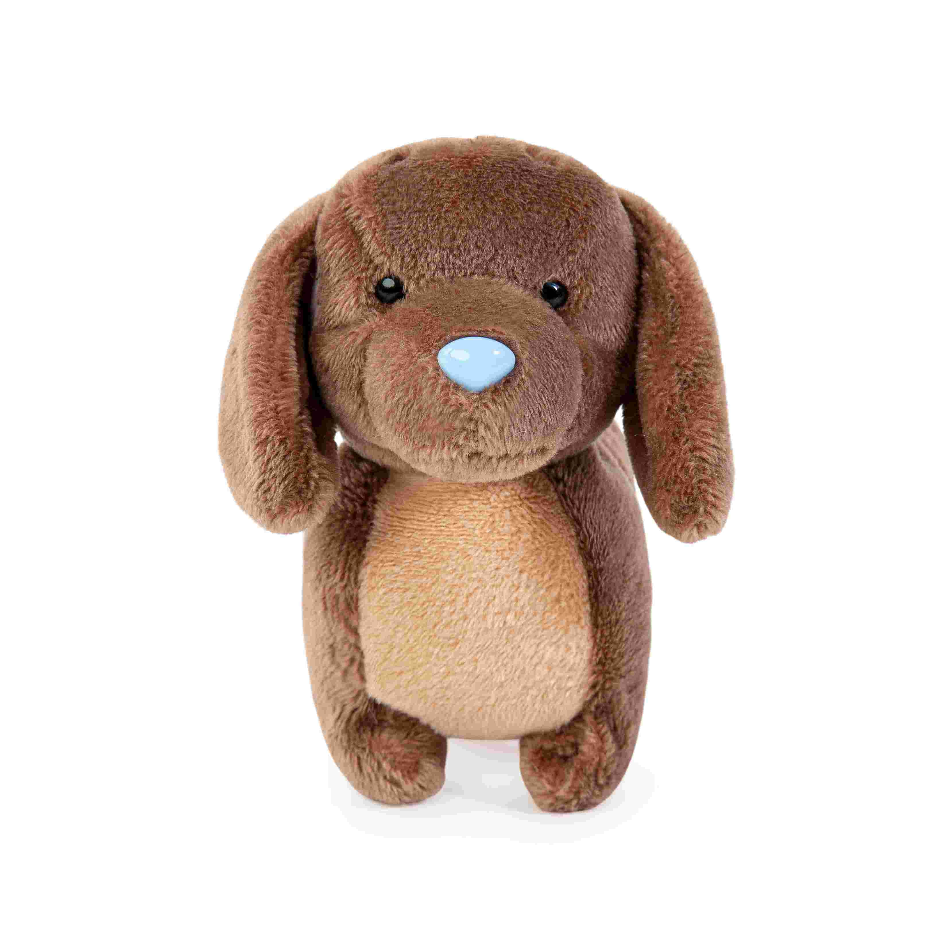 Przyjaciel niebieskiego noska -  Jamnik Dexter