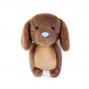 Przyjaciel niebieskiego noska - Jamnik Dexter