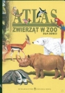 Atlas zwierząt w ZOO dla dzieci  Małochleb Paulina