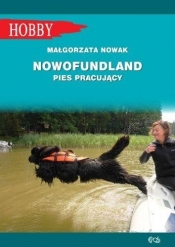 Nowofundlad pies pracujący - Nowak Małgorzata