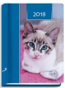 Terminarz 2018 - B7 Kolorowy - kot