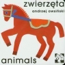 Zwierzęta Animals Owsiński Andrzej
