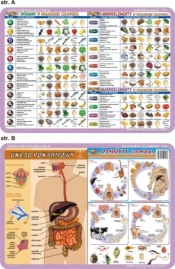 Podkładka edukacyjna. Pasożyty człowieka, układ pokarmowy,