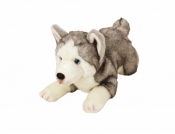 Suki, Husky leżący 35 cm (12057)