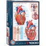  Puzzle 1000 The Heart 6000-025710+