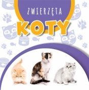 Wstęgi kartonowe. Koty - Opracowanie zbiorowe
