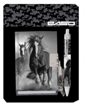 Zestaw pamiętnik z długopisem Paso Horse