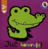 Już koloruję W ZOO