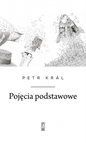 Pojęcia podstawowe - Petr Král