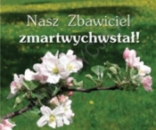 Perełka 158 - Nasz Zbawiciel zmartwychwstał! - Opracowanie zbiorowe