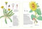 Ilustrowany inwentarz kwiatów - Aladjidi Virginie