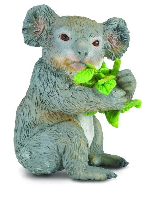 Miś koala jedzący liście eukaliptusa M (004-88357)