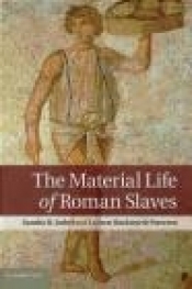 The Material Life of Roman Slaves