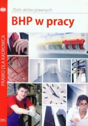 BHP w pracy - <br />