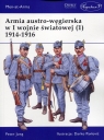 Armia austro-węgierska w I wojnie światowej (1) 1914-1916 Jung Peter