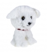 Lumo Maltese dog Rosie big