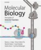 Molecular Biology