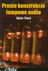 Proste konstrukcje lampowe audio Tatuś Adam