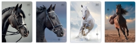 Zeszyt A5/32k kratka UV - Wild Horses, 1 szt