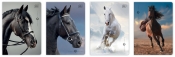 Zeszyt A5/32k kratka UV - Wild Horses, 1 szt