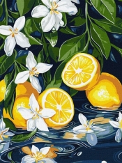 Malowanie po numerach - Cytryna w przekroju 30x40