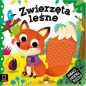 Zobacz dotknij,poczuj! Zwierzęta leśne.Książeczka sensoryczna - Grażyna Wasilewicz