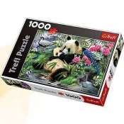 Puzzle 1000 Panda (10257)