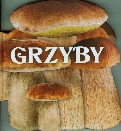 Grzyby