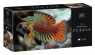 Puzzle 250: Colourful Nature 11 - Mandarinfish