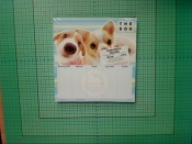 Plan lekcji Derform The Dog