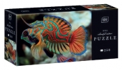 Puzzle 250: Colourful Nature 11 - Mandarinfish