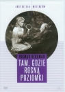 Tam, gdzie rosną poziomki