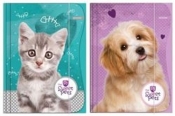 Teczka z gumką A4 The Sweet Pets