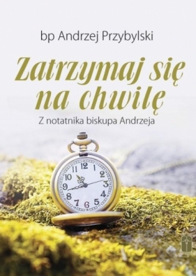 Zatrzsymaj się na chwilę. Z notatnika biskupa... - Przybylski Andrzej